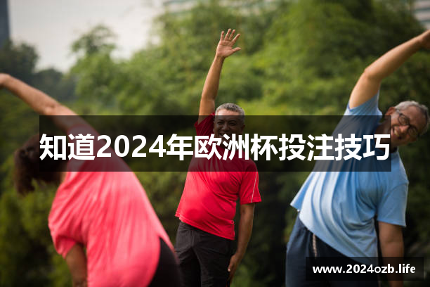 知道2024年欧洲杯投注技巧